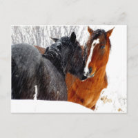 Chevaux s'embrasser dans la neige