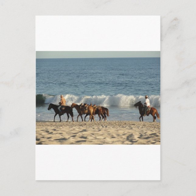 Carte Postale Chevaux sur la plage (Devant)
