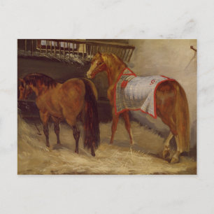 Carte Postale Chevaux sur les tables