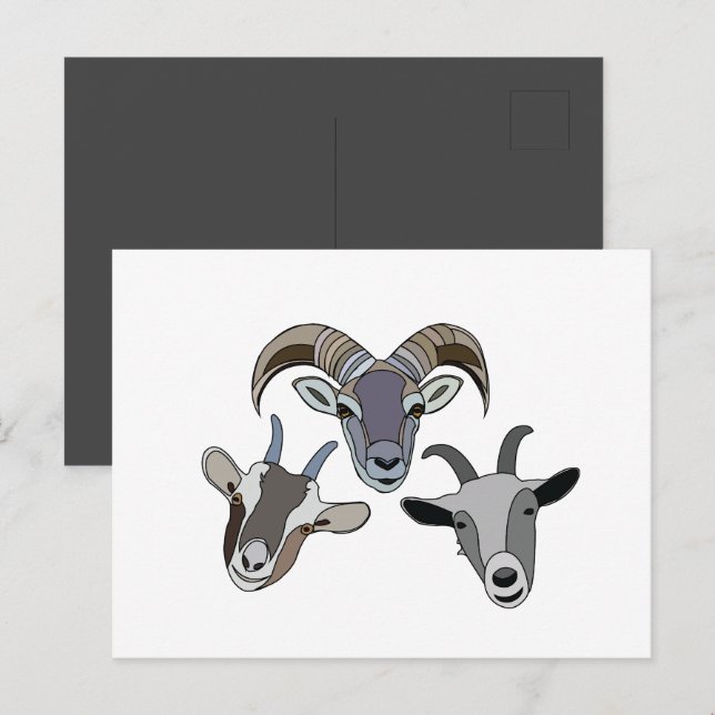 Carte Postale Chèvre animal drôle chèvre (Devant / Derrière)
