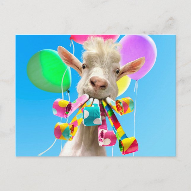 Carte Postale Chèvre avec des pétards de fête (Devant)