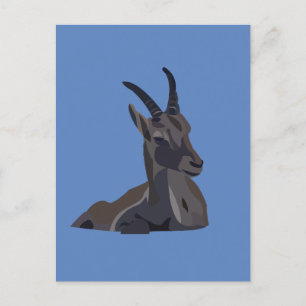 Carte Postale Chèvre bouquetin animal art chèvre