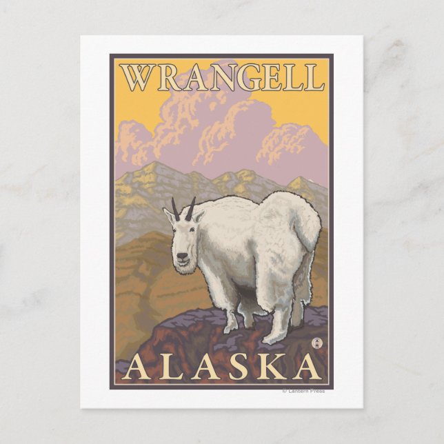 Carte Postale Chèvre de montagne - Wrangell, Alaska (Devant)