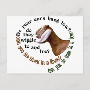 CARTE POSTALE CHÈVRE DE NUBIAN - VOS OREILLES ACCROCHENT-ELLES