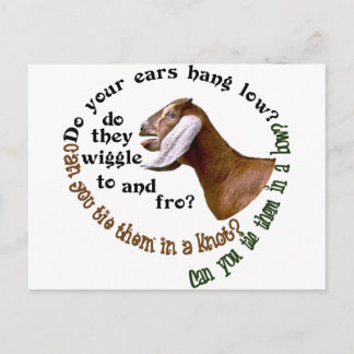 CARTE POSTALE CHÈVRE DE NUBIAN - VOS OREILLES ACCROCHENT-ELLES