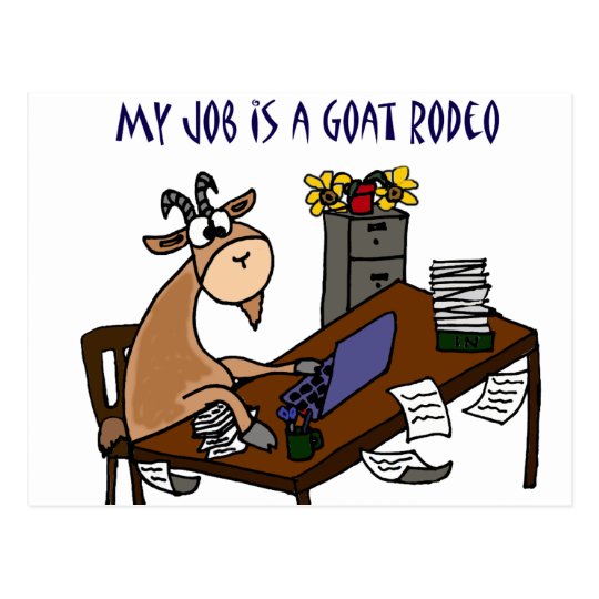 Carte Postale Chevre Drole A L Humour Du Travail De Rodeo De Zazzle Fr