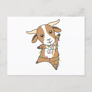 Carte Postale Chèvre Noël Chèvres Animaux d'hiver