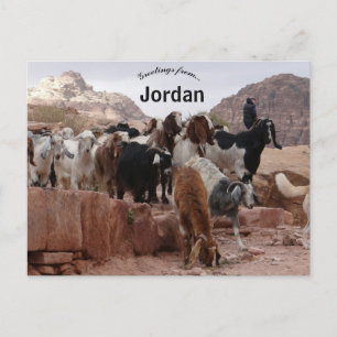 Carte Postale Chèvres à Pétra Jordanie