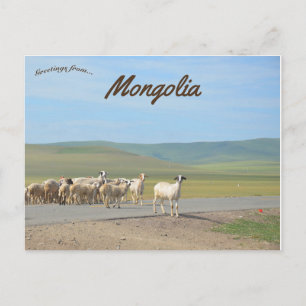 Carte Postale Chèvres en Mongolie