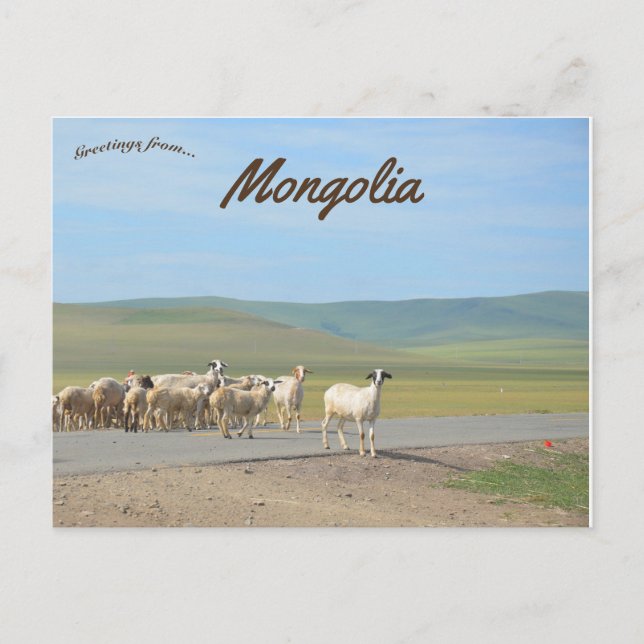 Carte Postale Chèvres en Mongolie (Devant)