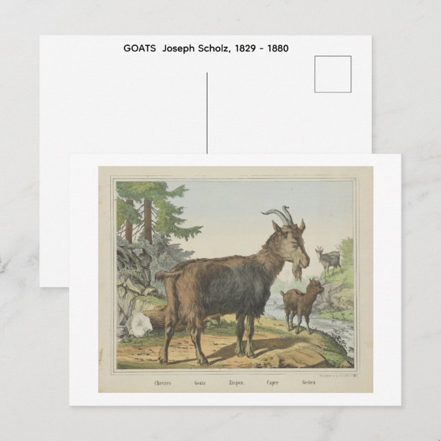 Carte Postale CHÈVRES  Joseph Scholz, 1829 - 1880   (Devant / Derrière)