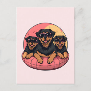 Carte Postale Chèvres Rottweiler Flottes de la piscine d'été