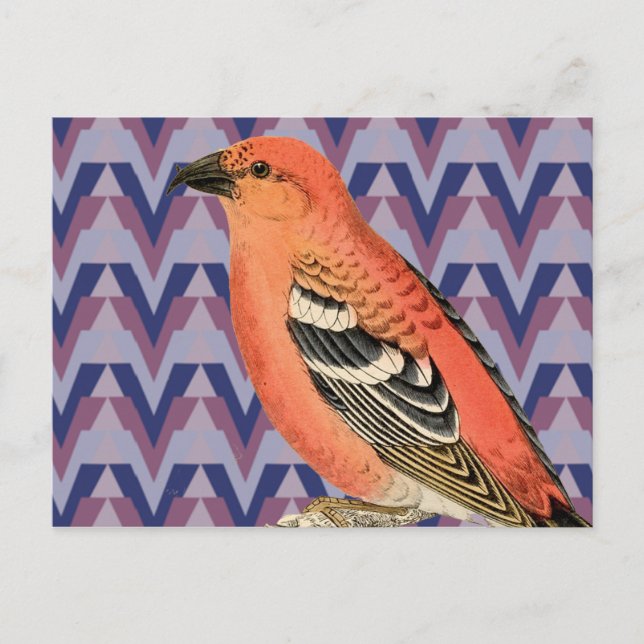 Carte Postale Chevron and Vintage Pink Bird (Devant)