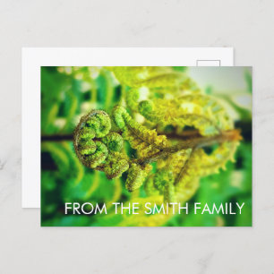 CARTE POSTALE CHIC GREEN LEAFY TROPICAL FERN NOUVELLE-ZÉLANDE
