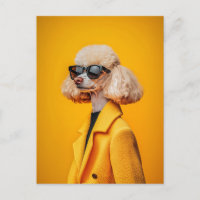 Chic Poodé en lunettes de soleil et manteau jaune