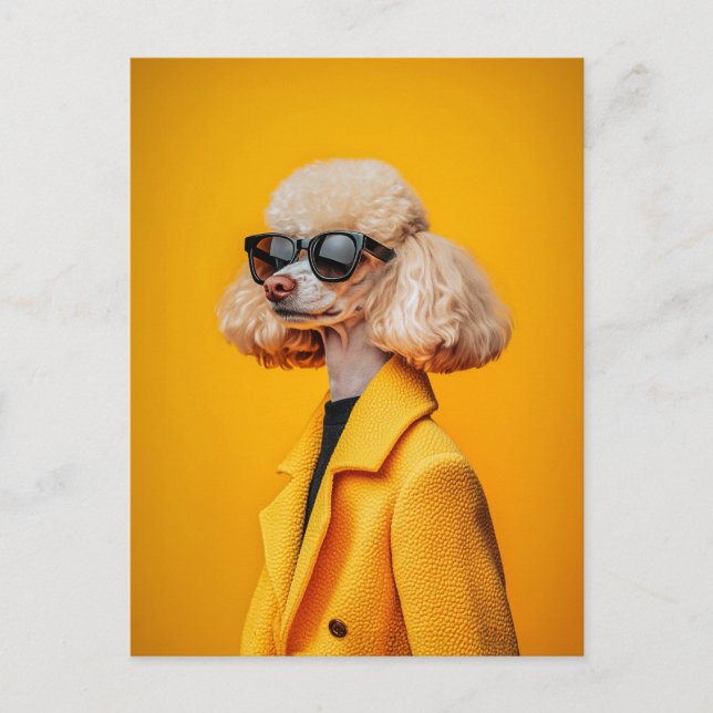 Carte Postale Chic Poodé en lunettes de soleil et manteau jaune (Devant)