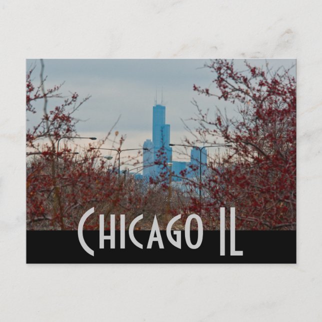 Carte Postale chicago (Devant)