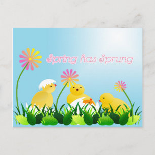 Carte Postale Chiches de printemps mignons