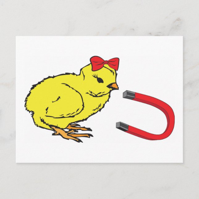 Carte Postale Chick Magnet drôle homme de dame (Devant)