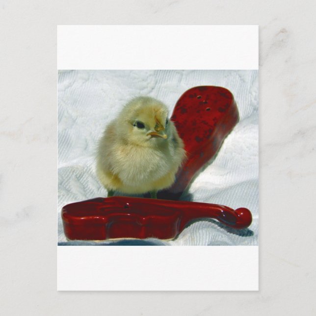 Carte Postale Chick musical (Devant)