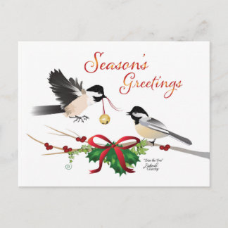 Carte Postale Chickadee Christmas Flat Postcard