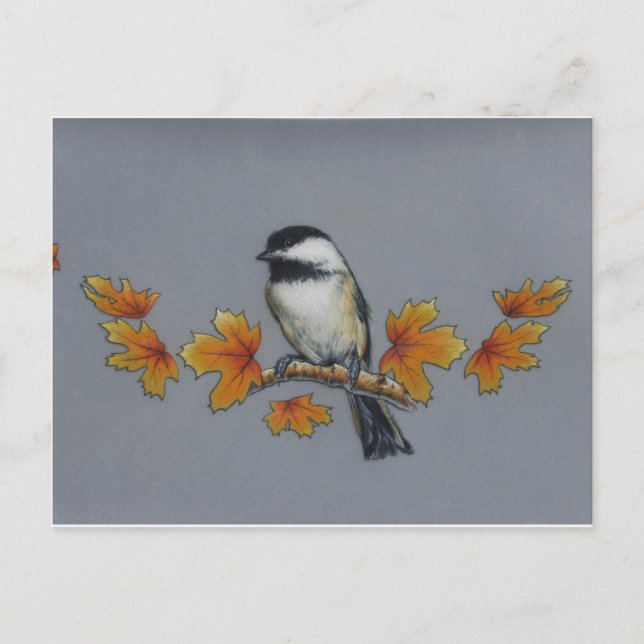 Carte Postale Chickadee d'automne (Devant)