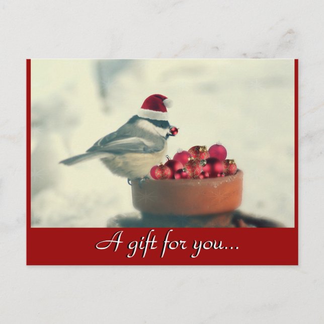 Carte Postale Chickadee Holiday Certificat cadeau (Devant)