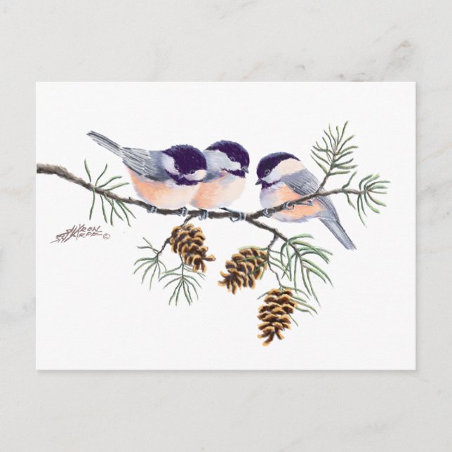 Carte Postale CHICKADEES & PINECONES par SHARON SHARPE (Devant)