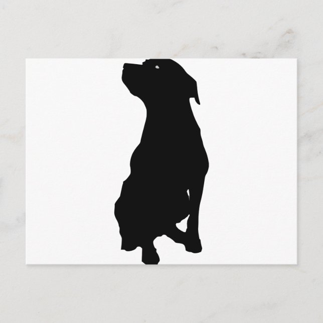 Carte Postale Chien (Devant)