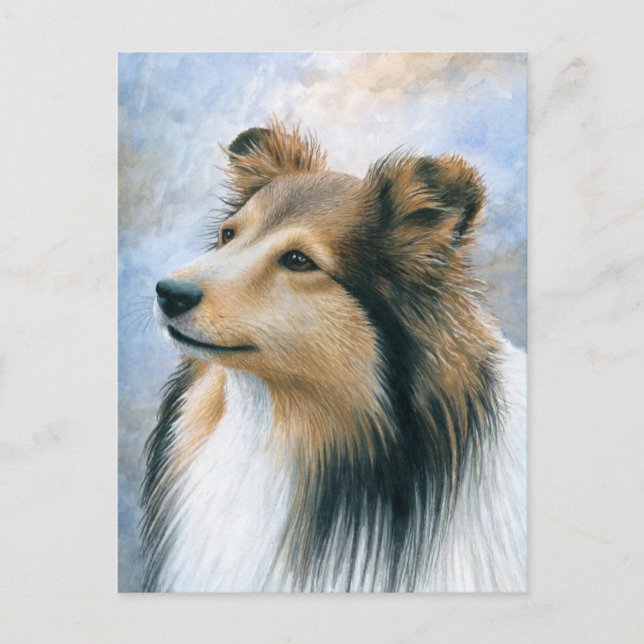 Carte Postale Chien 122 Sheltie Collie (Devant)