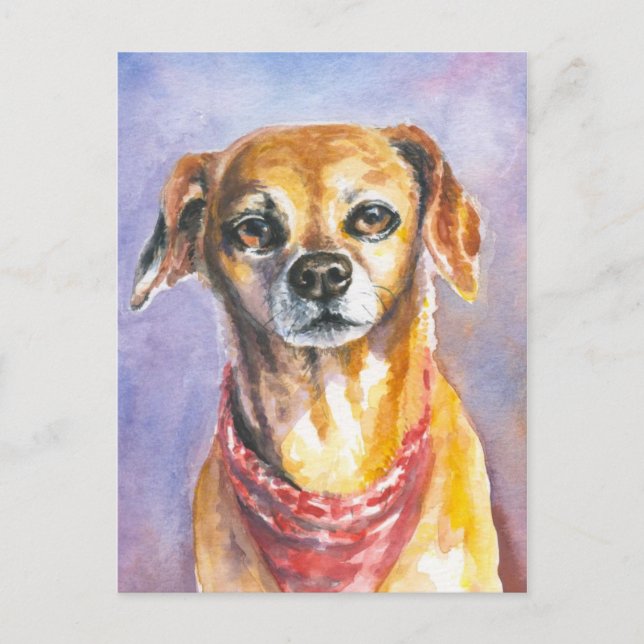 Carte Postale Chien 2 (Devant)