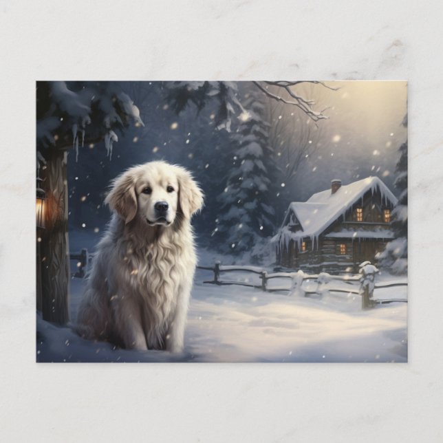 Carte postale Chien 5-10 (Devant)