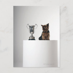 Carte Postale Chien à côté d'un grand trophée argenté