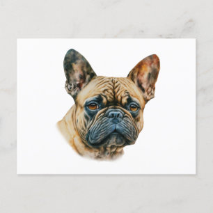 Carte Postale Chien à tête blanche
