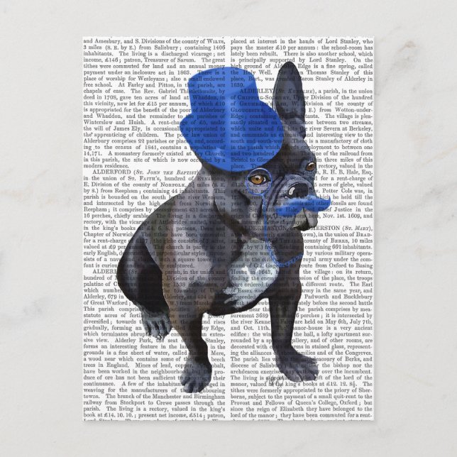 Carte Postale Chien à tête bleue avec chapeau bleu et moustache (Devant)