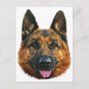 Carte Postale Chien allemand berger alsacien K-9