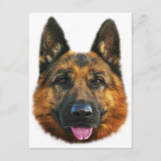 Carte Postale Chien allemand berger alsacien K-9
