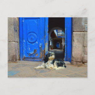 Carte Postale Chien attendant devant la porte bleue, Cusco, Péro