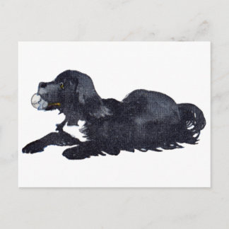 Carte Postale Chien avec boule veut jouer à aller chercher