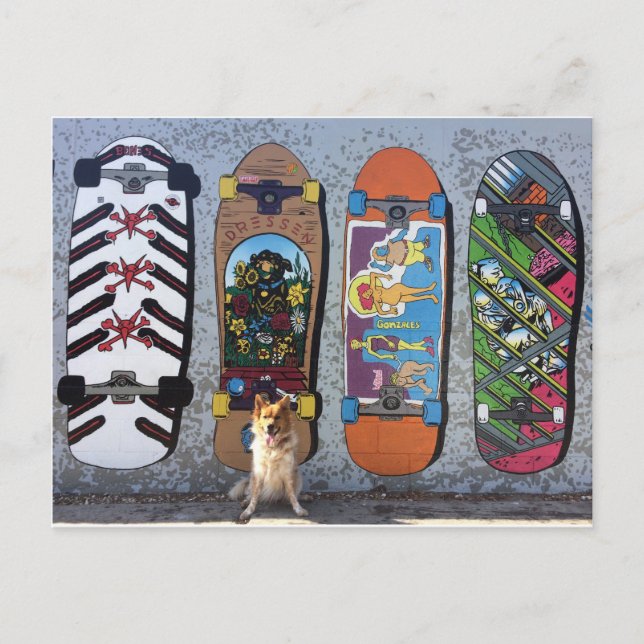 Carte Postale Chien avec Skateboards Mural (Devant)