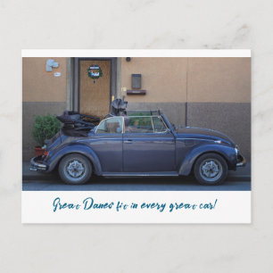 Carte Postale Chien avec style : Grandes Danoises