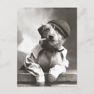 Carte Postale Chien avec tuyau et Casquette