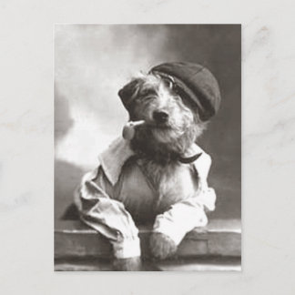 Carte Postale Chien avec tuyau et Casquette