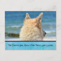 Chien Avec Un Message Inspirant