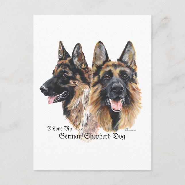 Carte Postale Chien berger allemand (Devant)