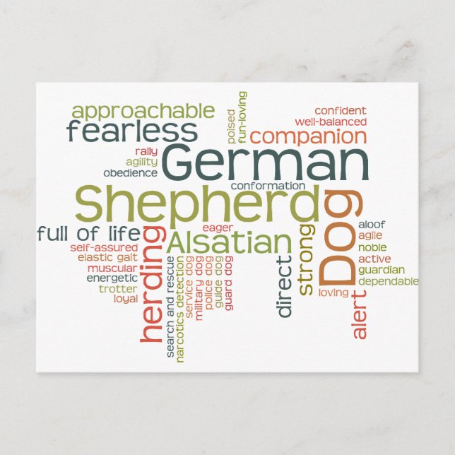Carte Postale Chien berger allemand (Devant)