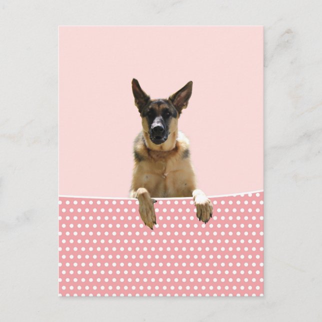 Carte Postale Chien berger allemand Pois roses (Devant)