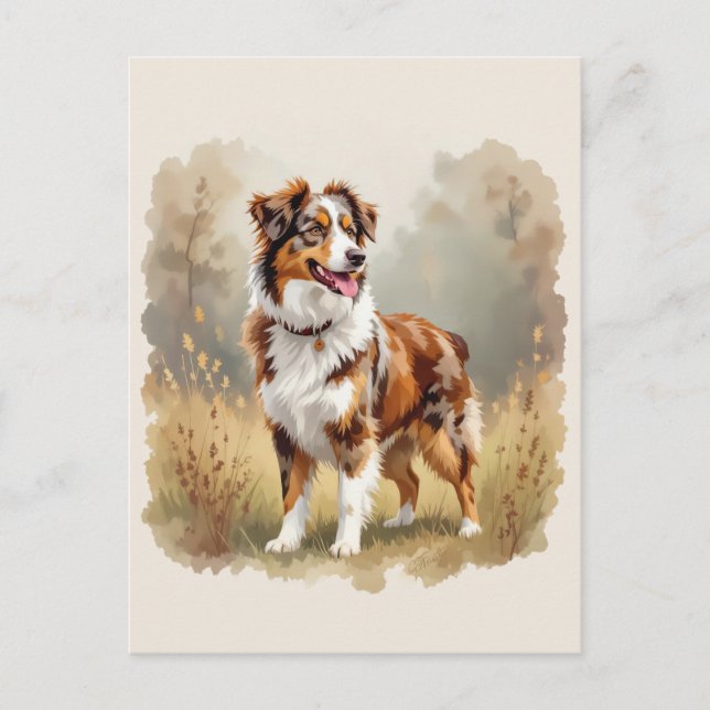 Carte Postale Chien berger australien Rouge Merle Aussie (Devant)