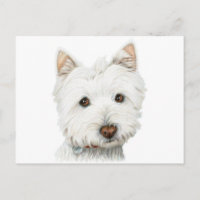 Chien blanc de Terrier de West Highland