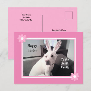 Carte Postale Chien blanc mignon portant lapin de Pâques oreille